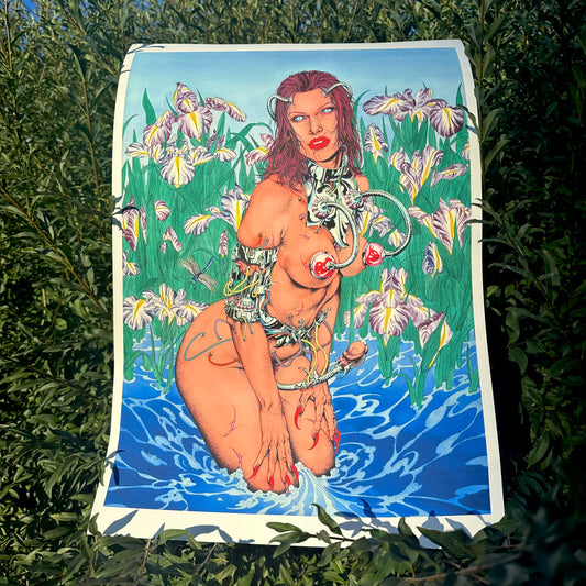 Damselfly Second Edition